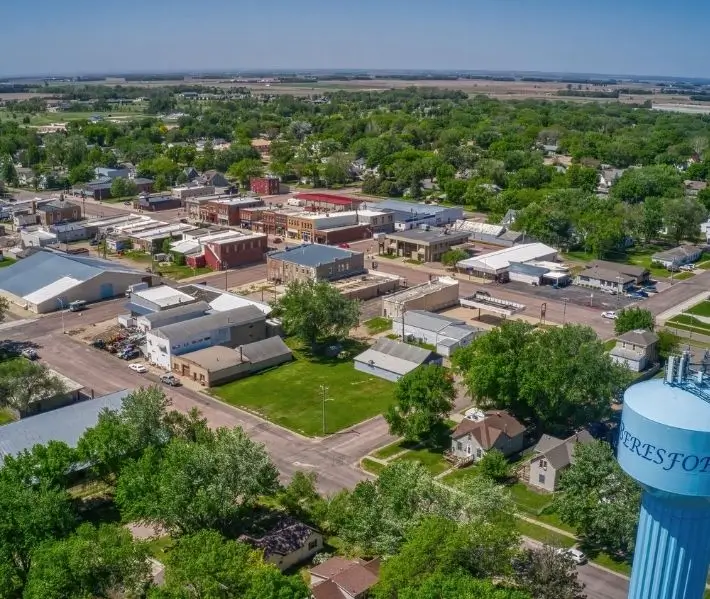 Bat Removal Beresford SD