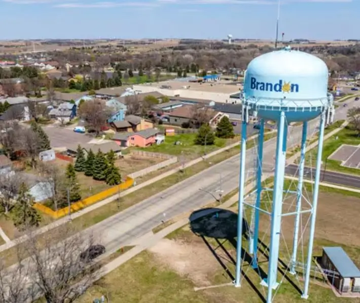 Bat Removal Brandon SD