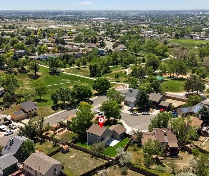 Bat Removal Colton SD